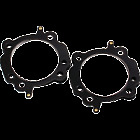 C-10088-030 0934-3155 Cometic Harley-davidson Head