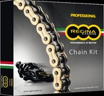 Regina 6ZRP2/110KHO021 Chain Kit Hon CBR1100XX. Fixed Price $355.04.