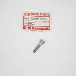 Kawasaki Socket Bolt Part Number - 120P0625. Fixed Price $12.99.