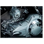 Kuryakyn By Kellermann 7780 Inner Primary Engine Case Cover For Harley-davidson. Fixed Price $165.99.