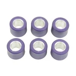 Variomatic Weights Athena 16X13, 8.00G Pieces. Fixed Price $14.63.