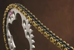 Renthal 520 R4 Atv Z-ring Chain Natural 110 Links C307. Fixed Price $155.99.