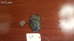 Yamaha 03-05 Yzf 06-09 R6S Engine Motor Shifter Cover Shaft. Fixed Price $15.00.