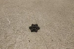 86 Honda Shadow VT700C Engine Transmission Gearshift Cam Star 24411-MG8-771. Fixed Price $8.00.