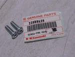 Kawasaki Pan Head Screws 6 X 20 (2) Nos!. Fixed Price $9.99.