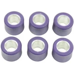 Athena Roller Kit 16X13 3.5 Gr S41000030P091. Fixed Price $15.49.