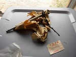 Nos Honda CM400T 1979-1981 CB400 Hawk Gearshift Shaft Oem 24610-413-020. Fixed Price $137.99.
