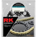 Rk Chain And Sprocket Kit Gold For Honda Cbr 600 Rr '03-'06 1062-039PGX. Fixed Price $255.65.