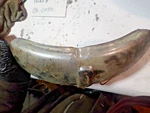 Honda Ct 70/TRAIL 1970 Front Fender/rear Mud Guard. Fixed Price $44.99.