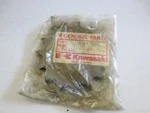 New Genuine Oem Kawasaki Sprocket 13144-1002. Fixed Price $8.99.