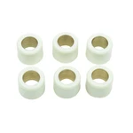 Athena Clutch Rollers 16X13MM 9.5GR. S41000030P032. Fixed Price $15.46.