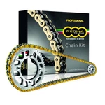 Regina 530ZRT Chain And Sprocket Kits - 6ZRT118KHO03. Fixed Price $278.88.