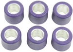Athena Scooter Roller Kit 16MM D X 13MM - 3.5 Grams S41000030P091. Fixed Price $13.53.