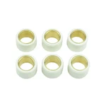 Athena Clutch Rollers 17X12MM 60GR. S41000030P097. Fixed Price $15.46.